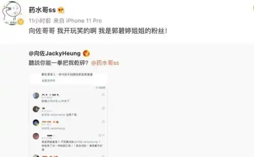 向佐动真格了期待自己和药水哥对决,并喊话让其买好保险 向佐动真格了期待自己和药水哥对决,并喊话让其买好保险