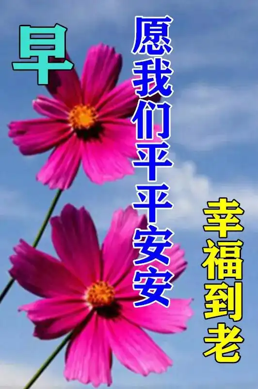  中老年表情包人生在世,离开有离开的道理,失去有失去的理由