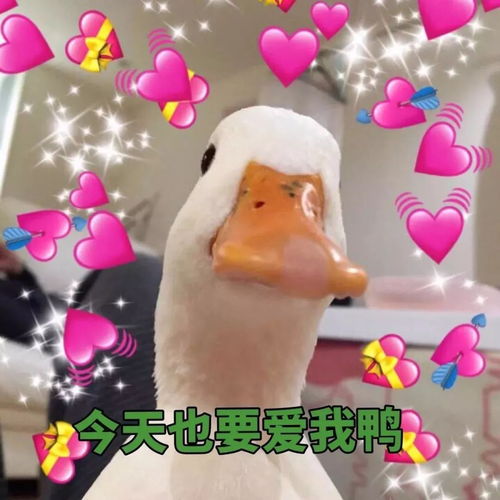  对不起,我们来迟了