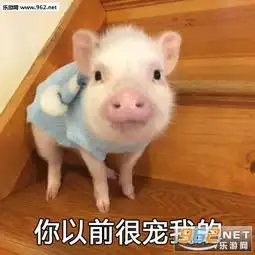  嘿嘿活了活了猪猪表情包只想躺在床上小猪表情包下载乐游网游戏下载