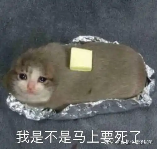  在武汉市第三十二中就读是怎样的一种体验