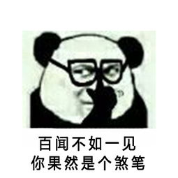  熊猫骂人专题表情