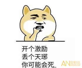 微信斗图表情包图片晚安
