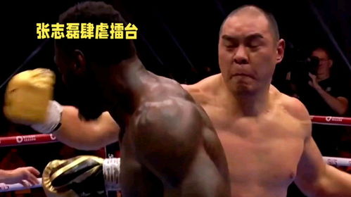  张志磊五个回合ko维尔德中国拳击手闪耀国际舞台