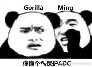  lpl洲际赛夺冠后,360度玩梗粉丝齐上线喂,你的表情包掉了,是你的才对