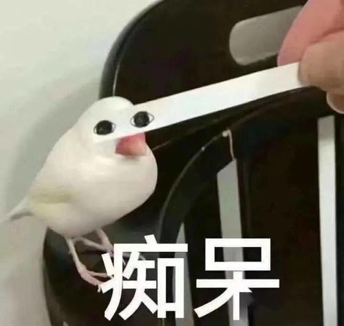  过年回家,再不安排可就来不及了的变美攻略