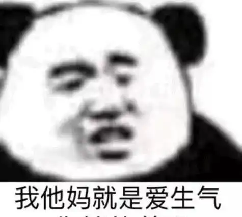  熊猫头聊天专用表情包我就是爱生气,你管得着吗