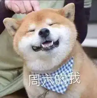 狗头表情包原型讨好