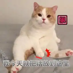  软妹子表情包你是要讲理还是要我