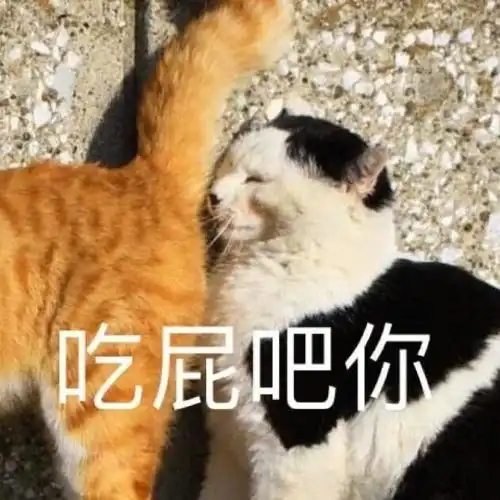  沙雕表情包吃屁吧你