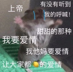  最不像偶像剧男主角的人,给了她最好的爱情