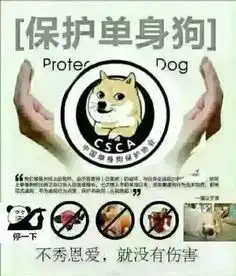  福利苏州人七夕结束单身的正确打开方式