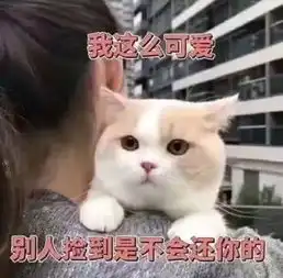  斗图吗我表情包贼多