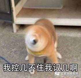  说了那么多,网大的尺度到底该如何把握