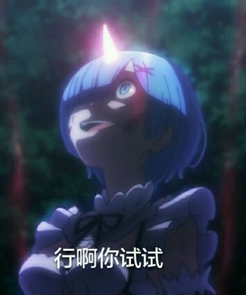  从零开始雷姆表情包