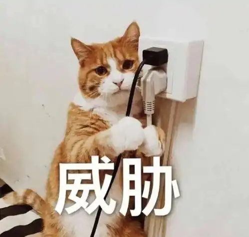  因为iphone的这功能,苹果被黑帮勒索186亿元