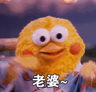  关于鹦鹉兄弟系列表情包