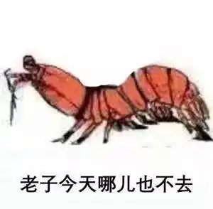  皮皮虾表情包火了这位新网红的威力你可能不知道