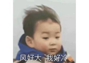  这些年承包了你表情包半壁江山的小萌娃们