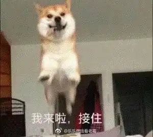  最近组里广州好多呀来聊天呀