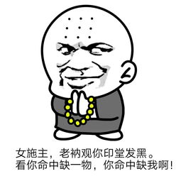  金馆长表情包小和尚表情包