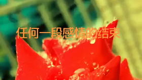  风雨人生路,你陪我一程,我念你一生,往后余生见或不见,你都在我心里...