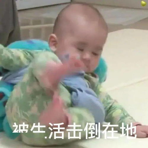  沙雕表情包丨不用问了爱过