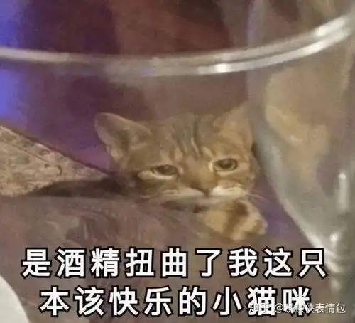  撩骚表情包图片你一定会遇到温柔的男孩子