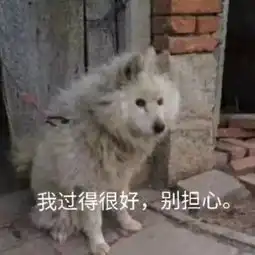 笑死人不偿命的表情包我