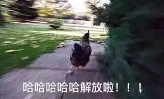  大年初二,大鸡大利