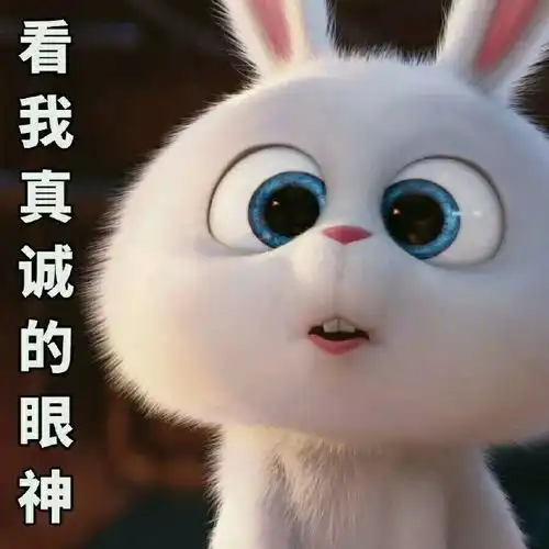  表情包我的小兔几