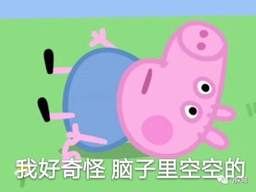  自驾2.5小时开拢隔壁成渝最快高速路开通沿线耍法多