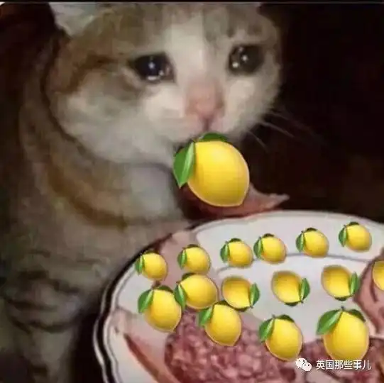 选择恐惧症图片表情包窝