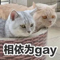 猫爪系列表情包表情包