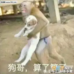  这彩票的段子笑死我了,哈哈哈哈哈