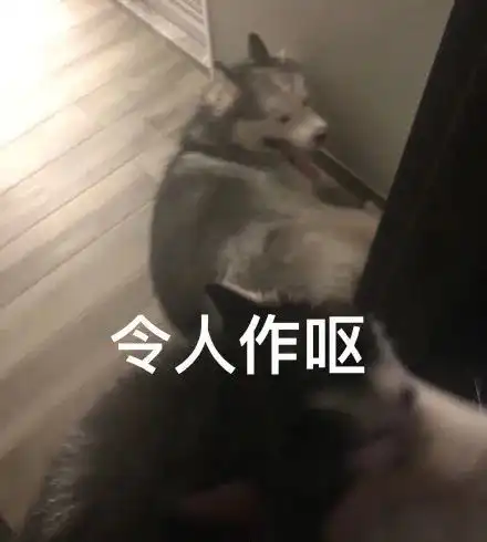  表情包总有一款你喜欢的d区