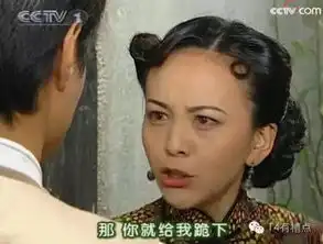  那一年,她还不是能够统治宇宙的赵薇
