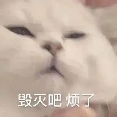  好家伙什么惊天大饼,半个娱乐圈的男明星都在舔