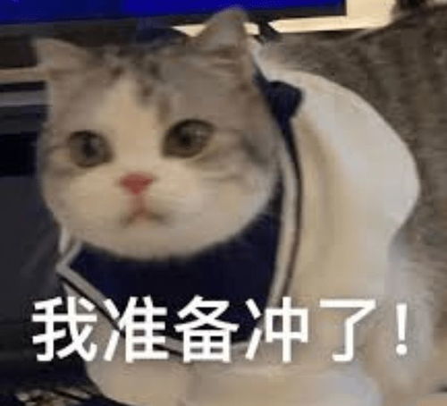 我要失去你了表情包猫扑