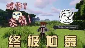  我的世界更新1.16新的表情系统沙雕又可爱