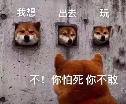  宅在家里的网友到底有多大的脑洞薯片袋拍照全国巡回小吃赛