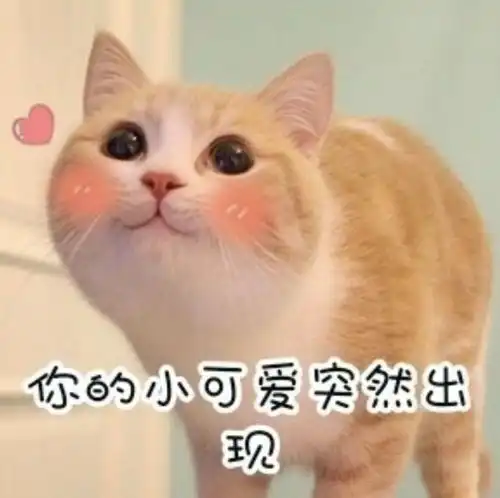 定向世园会,越野越青春 定向世园会,越野越青春