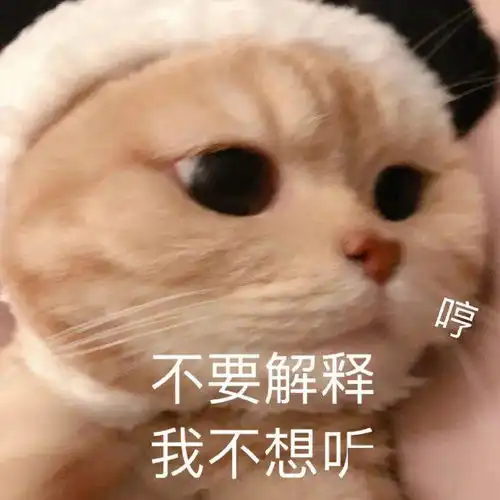 搞笑道歉表情生气