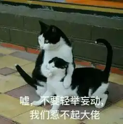 算我求你的表情包猫猫砂