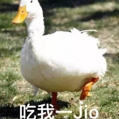  聊天被怼别怂,奶凶表情包get下,稳中带皮回怼超霸气