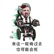 轮椅搞笑表情包
