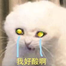  柠檬精表情包我好酸啊