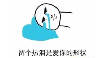  2017上半年12大网络热词真是book思议