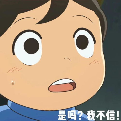  爆火波吉表情包看我眼神行事