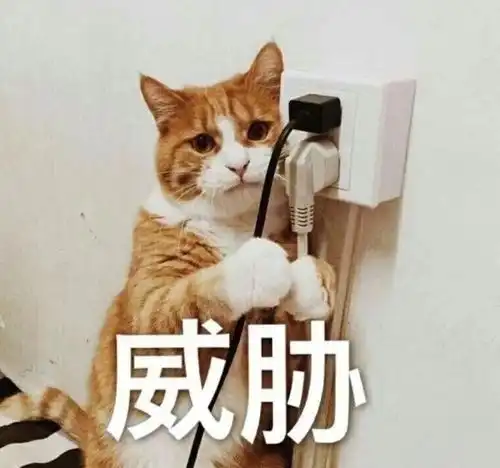 搞笑道歉表情搞笑大全